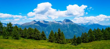 İsviçre Alpleri 'nin güzel kırsal manzarası. Güneşli bir öğleden sonra. Dağlardaki harika bahar manzarası. Otlak arazisi ve bahar çiçekleri. Kırsal manzara.