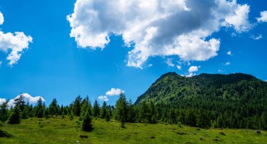 Çiçekli çayır ve dağlı bahar manzarası. Bahar mevsiminde güneşli bir günde yemyeşil çayırlar açan Alpler 'in panoramik manzarası..