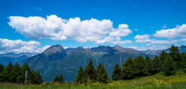 Çiçekli çayır ve dağlı bahar manzarası. Bahar mevsiminde güneşli bir günde yemyeşil çayırlar açan Alpler 'in panoramik manzarası..