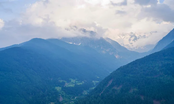 美しい自然背景 山の中で素晴らしい春の風景 低い雲の中にある森林の山の斜面と景色の中で常緑樹の針葉樹林 — ストック写真