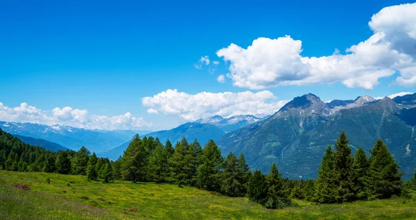 Панорама Красивой Сельской Местности Швейцарских Альп Солнечный День Прекрасный Весенний — стоковое фото