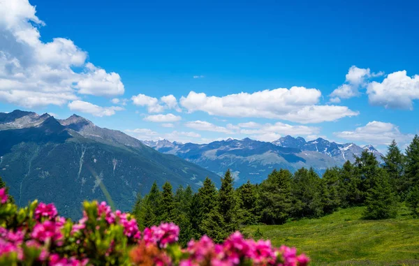 Панорама Красивой Сельской Местности Швейцарских Альп Солнечный День Прекрасный Весенний — стоковое фото