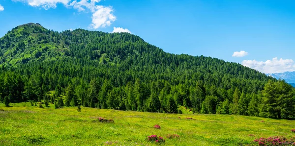 Panorama Della Splendida Campagna Delle Alpi Svizzere Pomeriggio Soleggiato Meraviglioso — Foto Stock