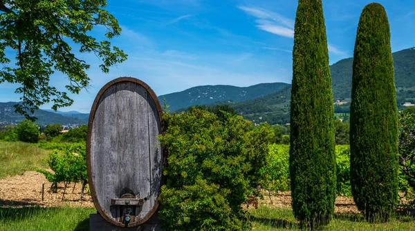 Wine cask at the winery. Wine barrel at the french winery. Vineyards and countryside landscape in Gordes, Vaucluse, Provence, France, Europe. Famous Cotes du Rhone Tourist Route.