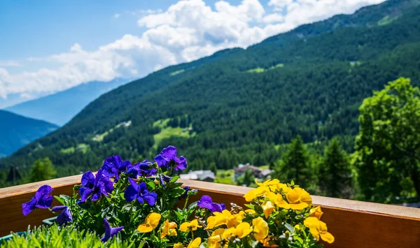 Outside area of restaurant in countryside area, view over forested mountains, Swiss Alps. Wooden balcony of cafe with flowers. Scenic view of mountain and green mountains. Sunny day.
