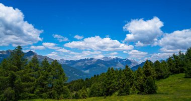 İtalya 'nın Güney Tyrol bölgesinin Trentino-Alto Adige bölgesinde yaz mevsiminde üzüm bağları ve meyve bahçesi vadisinin muhteşem manzarası. Manzaralı. Şarap üretimi bu bölgedeki ana endüstrilerden biridir..