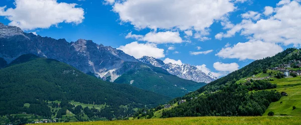 Spektakulärer Blick Auf Die Weinberge Und Das Obstbaumtal Der Sommersaison — Stockfoto