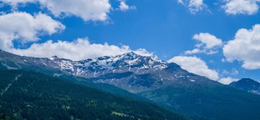 İtalya 'nın Güney Tyrol bölgesinin Trentino-Alto Adige bölgesinde yaz mevsiminde üzüm bağları ve meyve bahçesi vadisinin muhteşem manzarası. Manzaralı. Şarap üretimi bu bölgedeki ana endüstrilerden biridir..