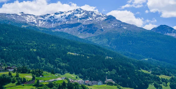 意大利南蒂罗尔Trentino Alto Adige地区葡萄园和果园谷地夏季景观壮观 风景景观 葡萄酒生产是这个地区的主要工业之一 — 图库照片
