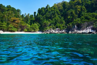 Tropikal manzara Wiev. Malezya 'daki Tioman adasının mükemmel beyaz kumları, palmiye ağaçları, turkuaz suyu ve derin mavi gökyüzü. Idyllic manzara. Yaz tatili ve tropikal plaj konsepti.