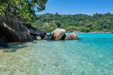 Tioman Adası 'ndaki kumsalda mavi gökyüzü turkuvaz suyu ve granit kayaları var. Cennet sahillerinde inanılmaz tropikal tatiller.