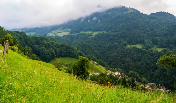 Zemědělská Krajina Panoramatický Pohled Idylické Horské Scenérie Svěží Zelené Louky — Stock fotografie