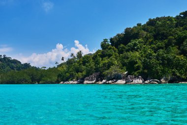 Okyanustaki yağmur ormanlarının peyzajı. Hint Okyanusu 'ndaki tropik ada. Palmiye ağaçları olan ıssız bir ada. Cennet adası. Mükemmel bir kaçış. Seyahat, tatil konsepti. Güzel gök mavisi okyanus.