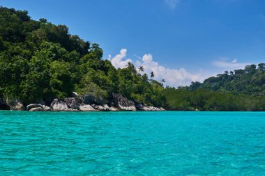 Okyanustaki yağmur ormanlarının peyzajı. Hint Okyanusu 'ndaki tropik ada. Palmiye ağaçları olan ıssız bir ada. Cennet adası. Mükemmel bir kaçış. Seyahat, tatil konsepti. Güzel gök mavisi okyanus.