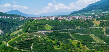 Val di Non 'un yaz sezonundaki panoramik manzarası. Güney Tyrol, İtalya 'nın Trentino-Alto Adige bölgesindeki üzüm bağları ve elma bahçesi manzarası. Arka planda güzel küçük bir Alp köyü.