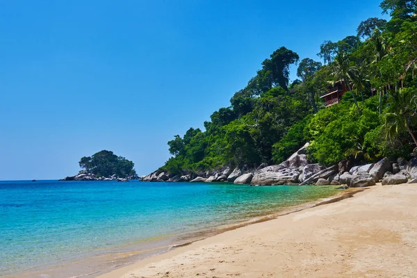 Gold sand beach and turquoise sea background. Coastline on sunny day background of sea and sky, gold sand, tourism, relax, vacation, summer, ocean. Tioman Island, Malaysia.