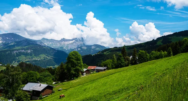 Panoramatický Pohled Idylickou Letní Krajinu Horami Čerstvými Zelenými Pastvinami Alpy — Stock fotografie