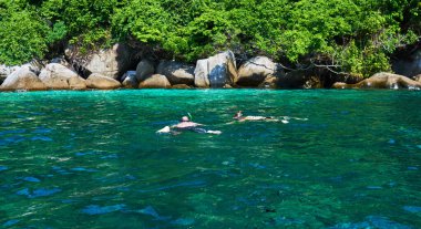 Turkuaz okyanusta şnorkelle yüzmek. Yağmur ormanları, kayalar, arka planda okyanus. Mükemmel bir kaçış. Güzel gök mavisi okyanus. Vahşi adanın güzelliği. Kıyı manzaralı okyanus.