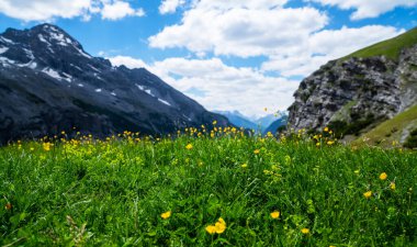 Stelvio geçidi İtalya 'da, Ortler Alpleri, İtalya. Stelvio Geçidi, Lombardy ve Trentino arasındaki Alplerin üzerinden Trentino tarafına doğru. Alp manzarası.