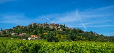 Şarap yolu boyunca üzüm bağları, üzüm bağları. Gordes, Vaucluse, Provence, Fransa ve Avrupa 'daki köy, üzüm bağları ve kırsal alanlar. Ünlü Cotes du Rhone Turist Yolu.