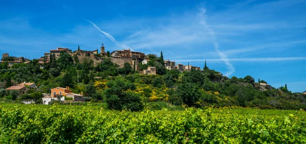 Cotes Rhone Köyleri Nin Güneyindeki Üzüm Bağlarının Manzarası Gordes Vaucluse — Stok fotoğraf