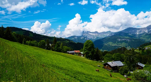 풍경의 산들과 초장이 풍경을 한눈에 수있다 날에는 알프스산맥과 오스트리아 알프스산맥이 — 스톡 사진