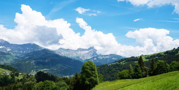 Panoramatický Pohled Idylickou Letní Krajinu Horami Čerstvými Zelenými Pastvinami Alpy — Stock fotografie