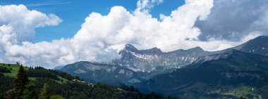 Dağları ve taze yeşil otlakları olan huzurlu yaz manzarasının panoramik manzarası. Güneşli günlerde Alpler Almanya ve Avusturya arasında güzel manzaralı Bavyera Alpleri ve Avusturya Alpleri yürüyüş rotaları.