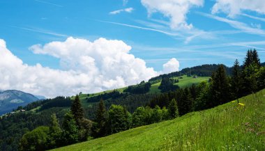 Dağları ve taze yeşil otlakları olan huzurlu yaz manzarasının panoramik manzarası. Güneşli günlerde Alpler Almanya ve Avusturya arasında güzel manzaralı Bavyera Alpleri ve Avusturya Alpleri yürüyüş rotaları.