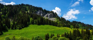 Bahar panorama manzarası, yeşil alan ve arka planda kayalık dağlar. Güney Tyrol, İtalya ve Avrupa 'da ilkbahar taze yeşil dağ otlaklarına bakın. Doğa konseptinin güzelliği.