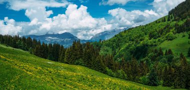 Çiçekli çayır ve dağlı bahar manzarası. Bahar mevsiminde güneşli bir günde yemyeşil çayırlar açan Alpler 'in panoramik manzarası..
