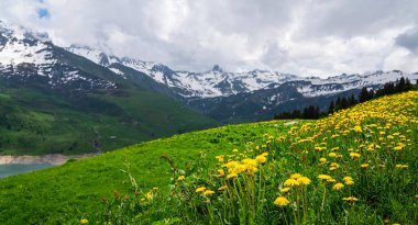 Çiçekli çayır ve dağlı bahar manzarası. Bahar mevsiminde güneşli bir günde yemyeşil çayırlar açan Alpler 'in panoramik manzarası..