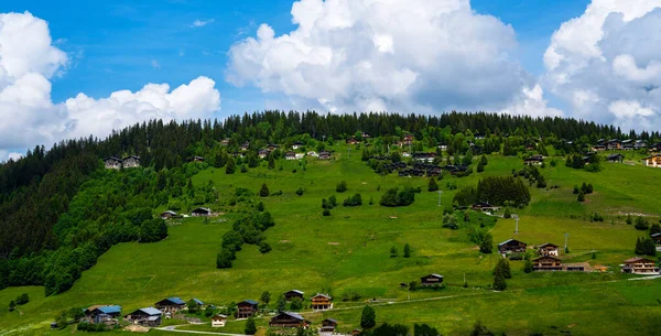 Traumhaftes Sommerpanorama Mit Bergen Kleinem Dorf Grünen Wiesen Und Wolkenlosem — Stockfoto