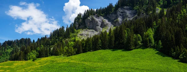 Весняний Пейзаж Зелене Поле Скелясті Гори Задньому Плані Вид Свіже — стокове фото