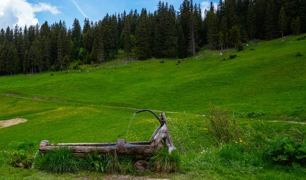 Alpine Open Lucht Houten Put Met Drinkwater Natuurlijke Bron Van — Stockfoto