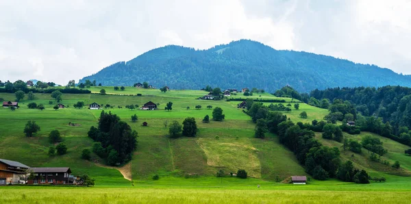 Idylický Venkovský Pohled Zemědělskou Půdu Krásném Prostředí Blízkosti Basileje Švýcarska — Stock fotografie