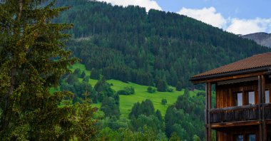 Geleneksel Alp köyü, taze yeşil çayırlar, orman, çiçek açan çiçekler ve baharda karla kaplı dağ manzarası..