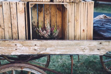 Eski ahşap kutular bir tasarım nesnesi olarak kullanılır. Siyah bir saksıda çiçekler.