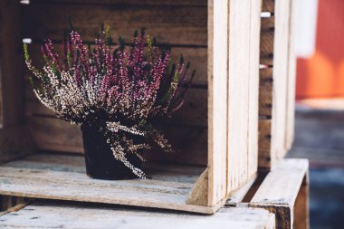 Eski ahşap kutular bir tasarım nesnesi olarak kullanılır. Siyah bir saksıda çiçekler.