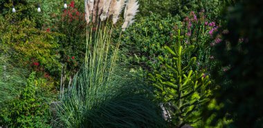 Canlı yeşillik içeren yemyeşil bir bahçe, uzun otlar, ve yukarıda asılı duran dekoratif iplik ışıkları, dingin ve rahatlatıcı bir açık hava alanı yaratır..