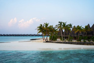 Gün batımında yüksek palmiye ağaçları, beyaz kum, turkuaz su ve arka planda su bungalovları üzerinde lüks olan tropik plaj, sakin ve huzurlu bir ada ortamı yaratıyor..