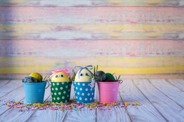 Kırsal ahşap arka planda renkli Paskalya yumurtaları. Bahar mevsiminde tatil. Pastel renk tonu.