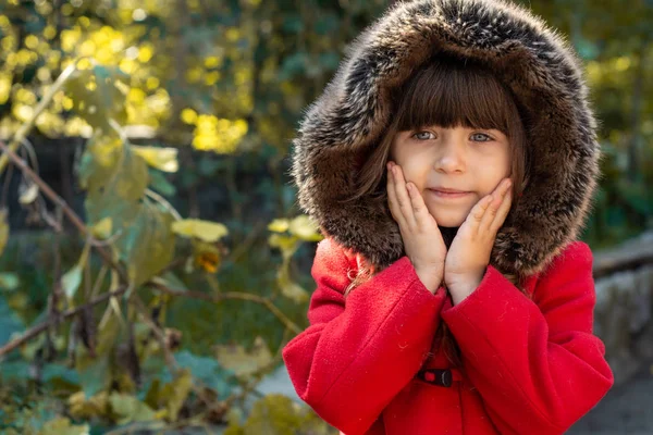 Foto Musim Gugur Gadis Keriting Yang Lucu Anak Mengumpulkan Dedaunan — Stok Foto