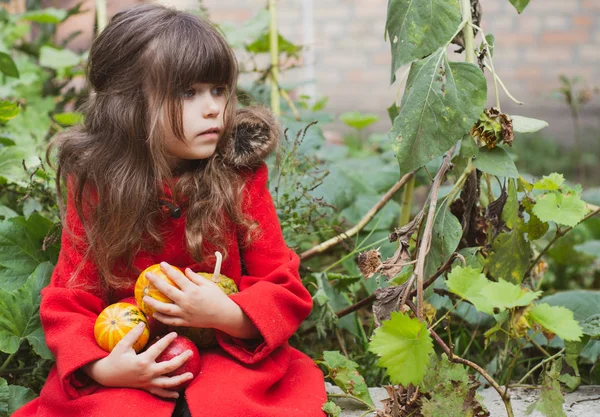 Entzückendes Kleines Mädchen Das Einem Schönen Herbsttag Freien Spaß Auf — Stockfoto
