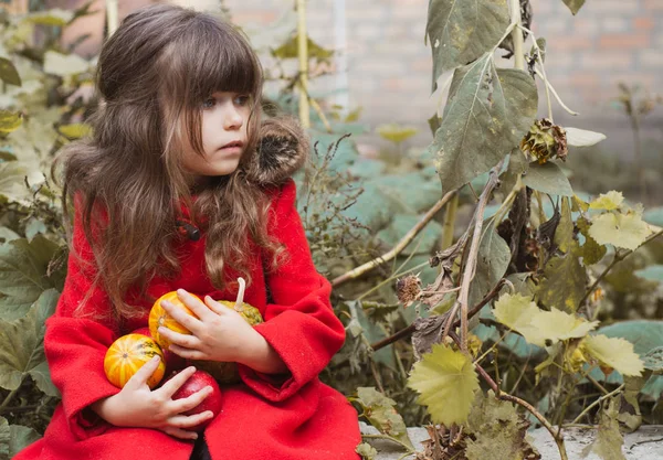 Bedårande Liten Tjej Att Kul Pumpkin Patch Vackra Höstdag Utomhus — Stockfoto