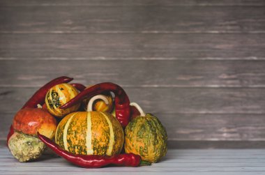Sonbahar balkabağı Şükran Günü arka planı