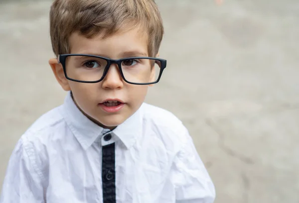 Glücklicher Netter Schlauer Junge Brille Und Weißem Hemd — Stockfoto