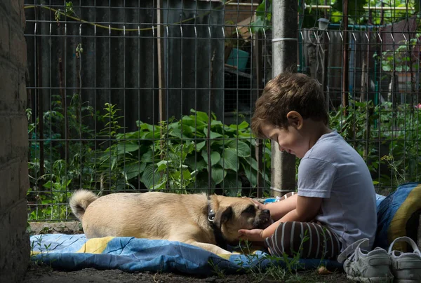 Little boy embracing his dog on the garden. Child and little dog are lying together on the grass. They are friends.
