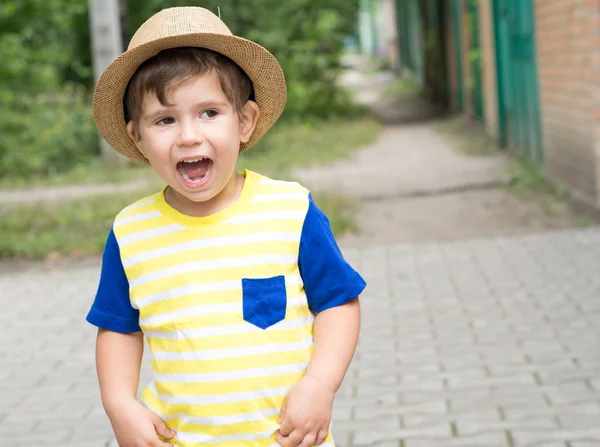 Summer Portrait Toddler Boy Little Boy Wearing Straw Hat Playing — Stock Photo, Image