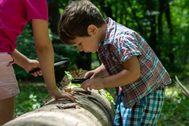 Çocuklar büyüteçle, açık hava çekimlerinden ağaç yapraklarına bakıyorlar. Büyüteçle doğayı gözlemleyen çocuklar
